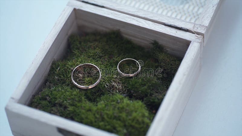 As alianças de casamento em uma caixa de madeira encheram-se com o musgo na grama verde casamento Anel de casamento Anel de noiva fotos de stock As alianças de casamento em uma caixa de madeira encheram-se com o musgo na grama verde casamento Anel de casamento Anel de noiva fotos de stock