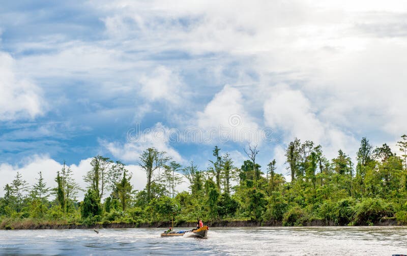 Wooden canoes floated down the river in the wild jungles of New Guinea. Indonesia Asmat, Irian Jaya province, Indonesia. Wooden canoes floated down the river in the wild jungles of New Guinea. Indonesia Asmat, Irian Jaya province, Indonesia