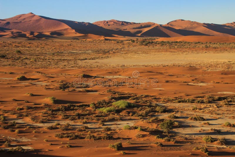 As dunas de areia as mais altas no mundo no por do sol no deserto de Namib, no parque nacional de Namib-Nacluft em Nam?bia fotos de stock As dunas de areia as mais altas no mundo no por do sol no deserto de Namib, no parque nacional de Namib-Nacluft em Nam?bia fotos de stock