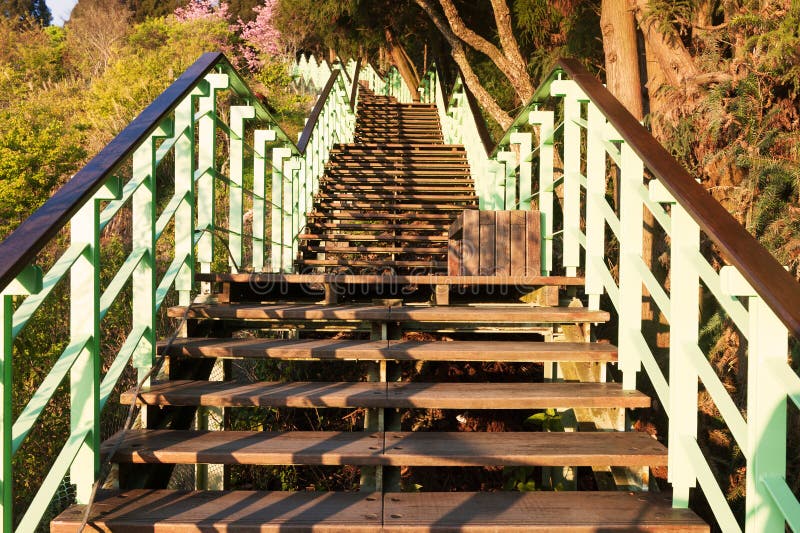 Escadas de madeira imagens de stock royalty free