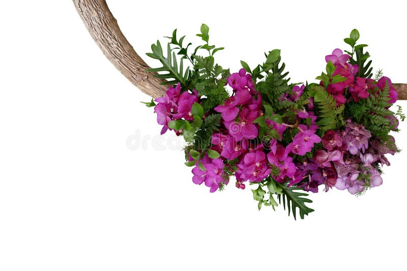 As folhas tropicais e a orquídea roxa de Vanda florescem, arrangem floral foto de stock royalty free As folhas tropicais e a orquídea roxa de Vanda florescem, arrangem floral foto de stock royalty free