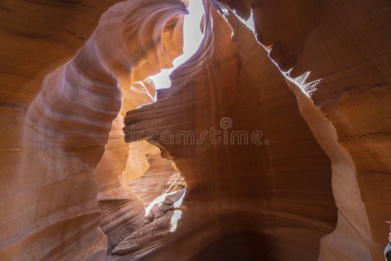 As gargantas do antílope, mais baixa garganta fotografia de stock