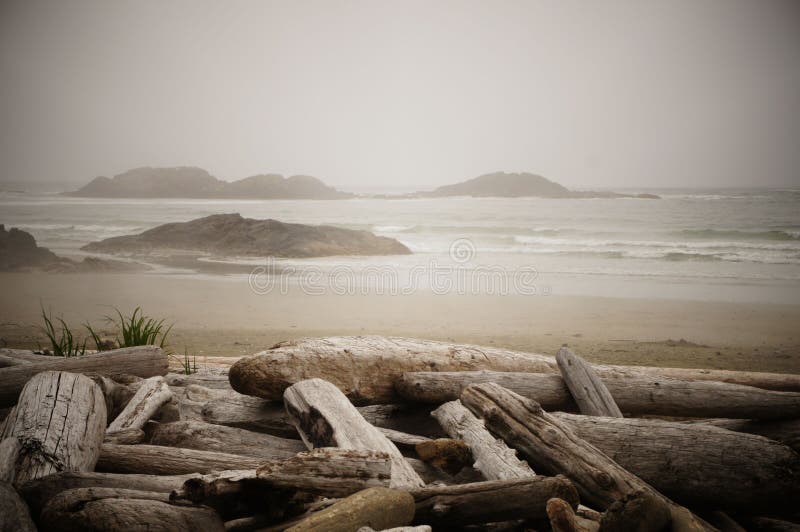 As ilhas são dispersadas o horizonte em uma praia madeira lançada à costa-alinhada em uma manhã enevoada perto de Tofino, ilha de imagens de stock As ilhas são dispersadas o horizonte em uma praia madeira lançada à costa-alinhada em uma manhã enevoada perto de Tofino, ilha de imagens de stock