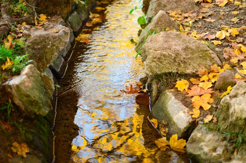 As madeiras da angra do outono com amarelo saem da folha e das rochas fotografia de stock royalty free