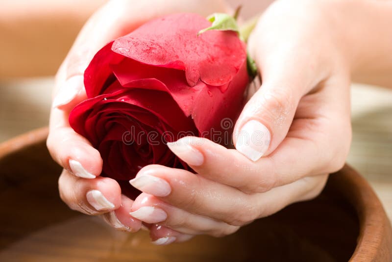 As mãos bonitas com levantaram-se imagem de stock As mãos bonitas com levantaram-se imagem de stock