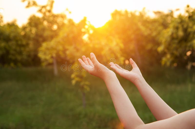 As mãos humanas abrem a adoração ascendente da palma A terapia do Eucaristia abençoa o deus ele fotografia de stock royalty free As mãos humanas abrem a adoração ascendente da palma A terapia do Eucaristia abençoa o deus ele fotografia de stock royalty free