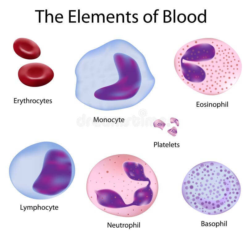 As pilhas do sangue ilustração do vetor