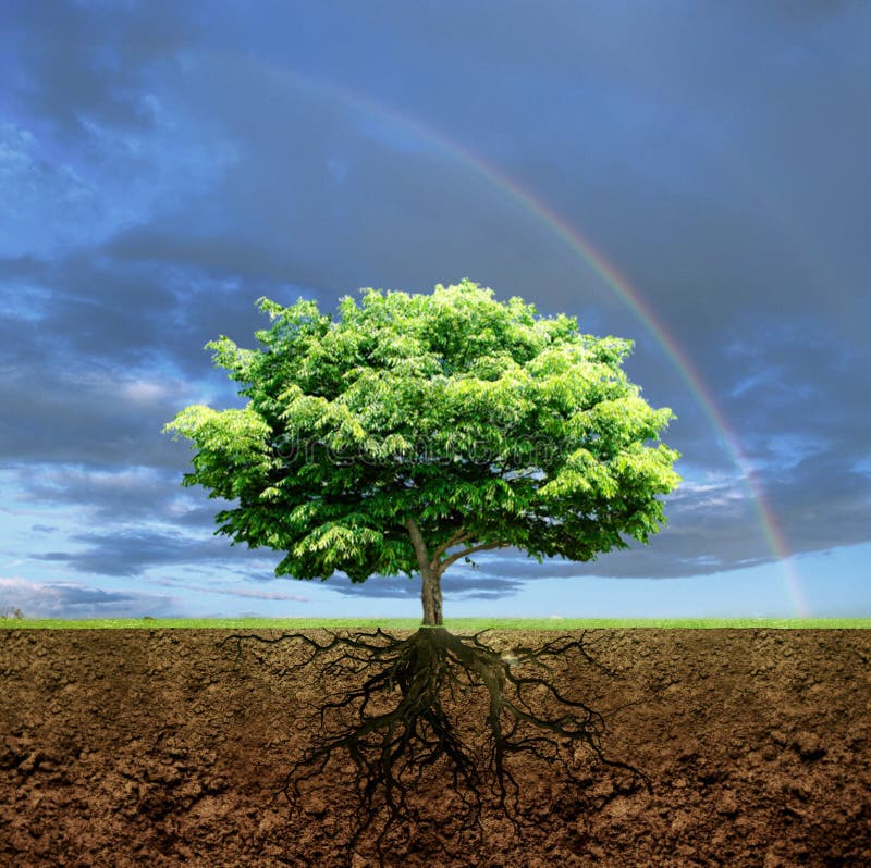 As raízes da vida ilustração do vetor