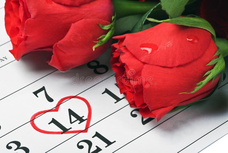 As rosas colocam no calendário com a tâmara do Valentim do 14 de fevereiro