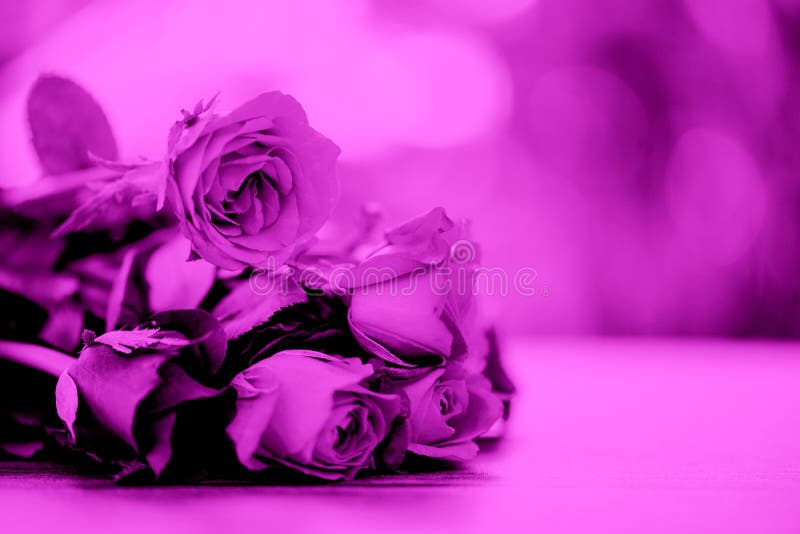 As rosas florescem o rosa da cor do filtro do ramalhete aumentaram dia de Valentim no fundo da natureza da tabela para o conceito fotografia de stock royalty free As rosas florescem o rosa da cor do filtro do ramalhete aumentaram dia de Valentim no fundo da natureza da tabela para o conceito fotografia de stock royalty free