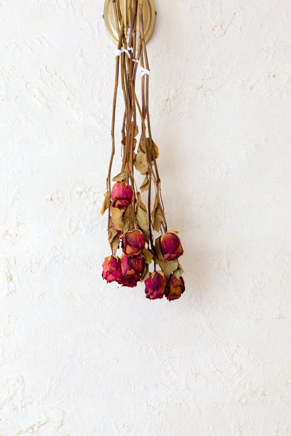 Memory of love. Dried red roses flowers frame blank copy space on white wall as romantic background. Indoor. Memory of love. Dried red roses flowers frame blank copy space on white wall as romantic background. Indoor.