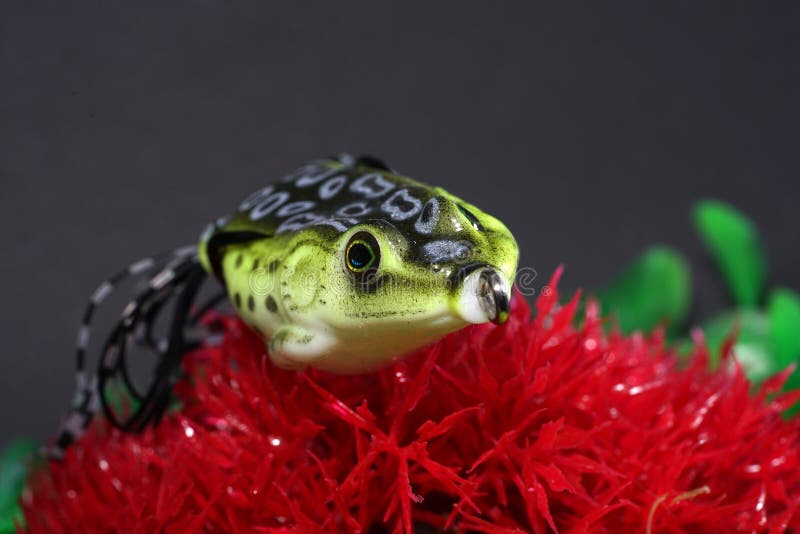 As rãs fizeram do plástico com ganchos afiados são bem - serido imagem de stock As rãs fizeram do plástico com ganchos afiados são bem - serido imagem de stock