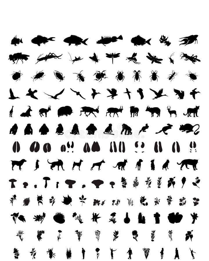 As silhuetas do vetor ajustaram-se. Jogo # 1 ilustração royalty free As silhuetas do vetor ajustaram-se. Jogo # 1 ilustração royalty free
