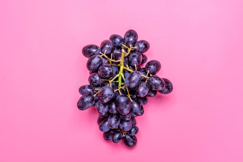 As uvas suculentas pretas orgânicas naturais em uma tendência picam a configuração do plano da opinião superior do fundo Estilo r imagem de stock As uvas suculentas pretas orgânicas naturais em uma tendência picam a configuração do plano da opinião superior do fundo Estilo r imagem de stock