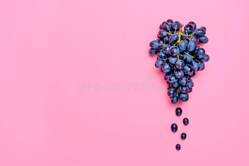 As uvas suculentas pretas orgânicas naturais em uma tendência picam a configuração do plano da opinião superior do fundo Estilo r imagem de stock royalty free As uvas suculentas pretas orgânicas naturais em uma tendência picam a configuração do plano da opinião superior do fundo Estilo r imagem de stock royalty free