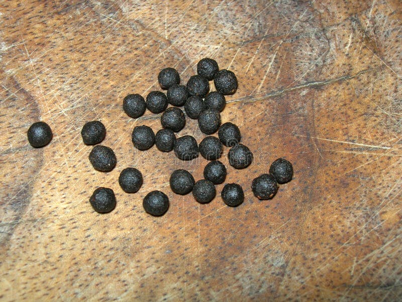 Asafoetida pills stock photo. Image of doctor, small, spice 147024