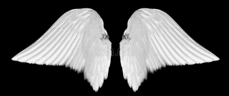 Asas brancas do anjo foto de stock royalty free Asas brancas do anjo foto de stock royalty free