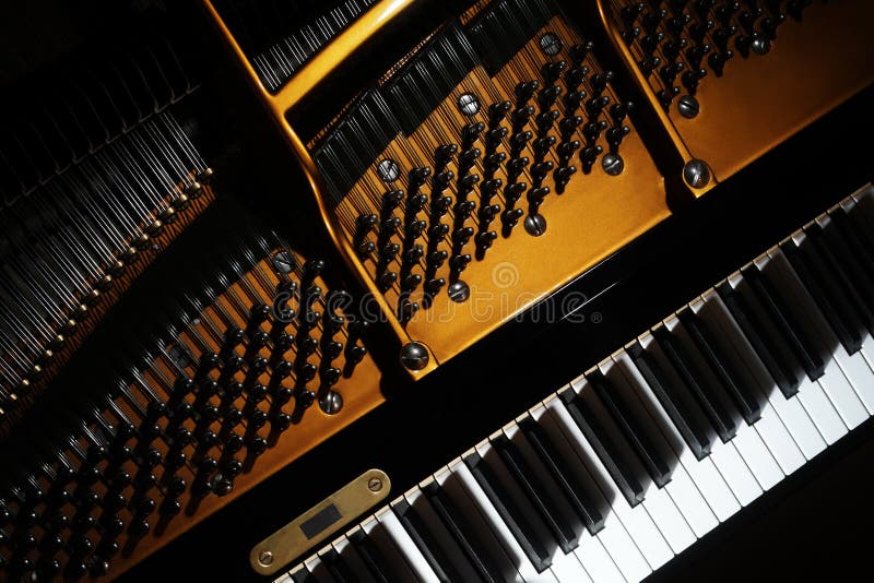 Jogo Das Mãos Do Pianista Da Música Do Piano Detalhes Do Piano De Cauda Do  Instrumento Musical Com Mão Do Executor No Fundo Branc Foto de Stock -  Imagem de melodia, pianista