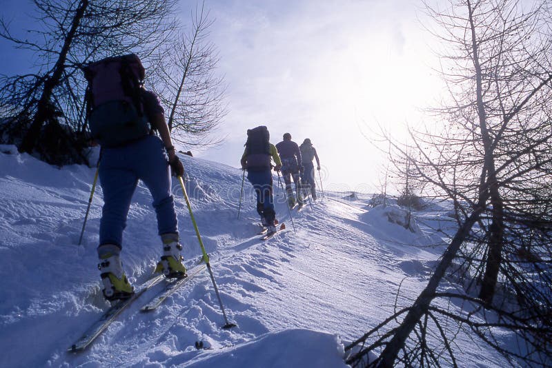 Ski mountaineering alebo bežecké lyžovanie v talianskych Alpách.