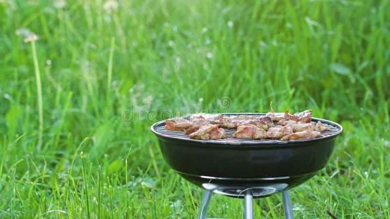 Ase a la parilla la parrilla Asado a la parilla de los filetes del pollo imagenes de archivo Ase a la parilla la parrilla Asado a la parilla de los filetes del pollo imagenes de archivo