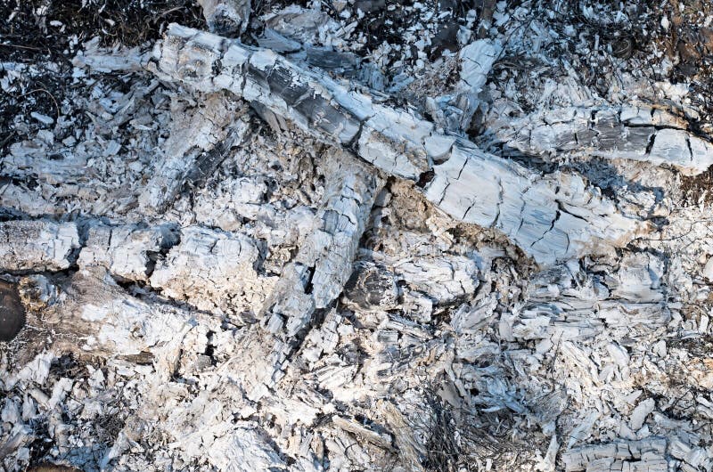 Ash bonfire stock image. Image of campfire, material - 66452643