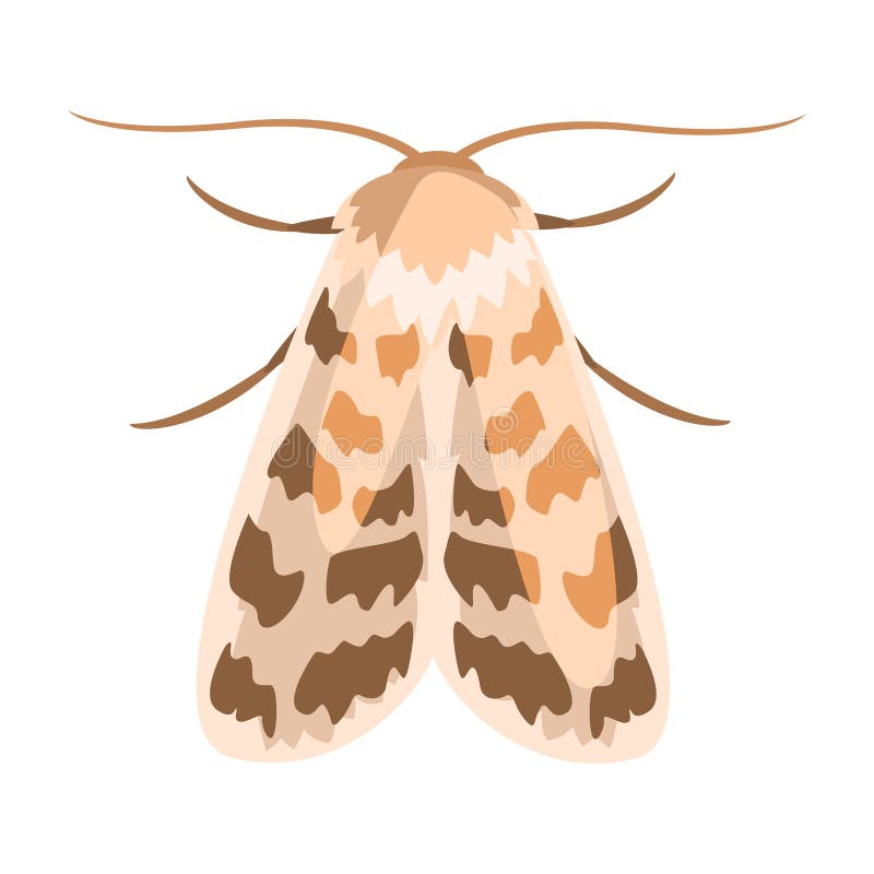 Clipart Moth Cartoon : Check out our moth clipart selection for the