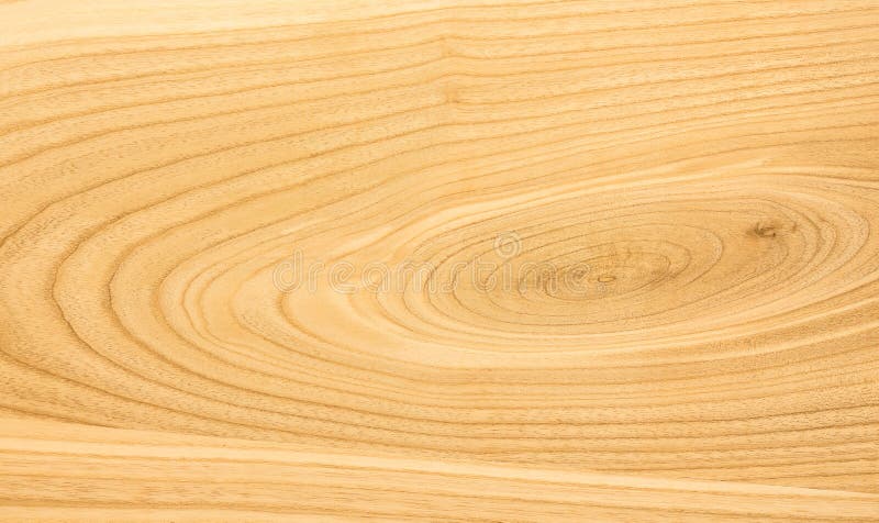 Ash Wood Texture. the Background of the Wood of Hardwood_ Stock Photo ...