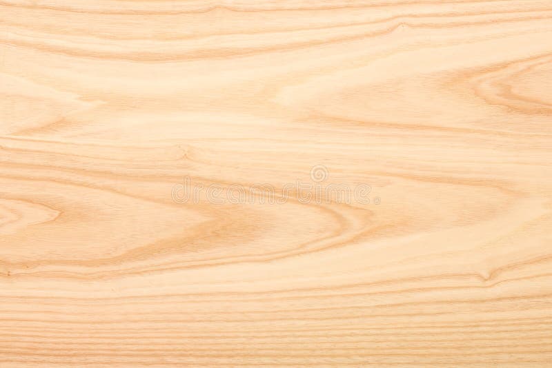 Ash Wood Texture
