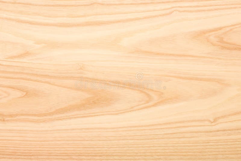 Ash Wood Texture. the Background of the Wood of Hardwood_ Stock Photo ...