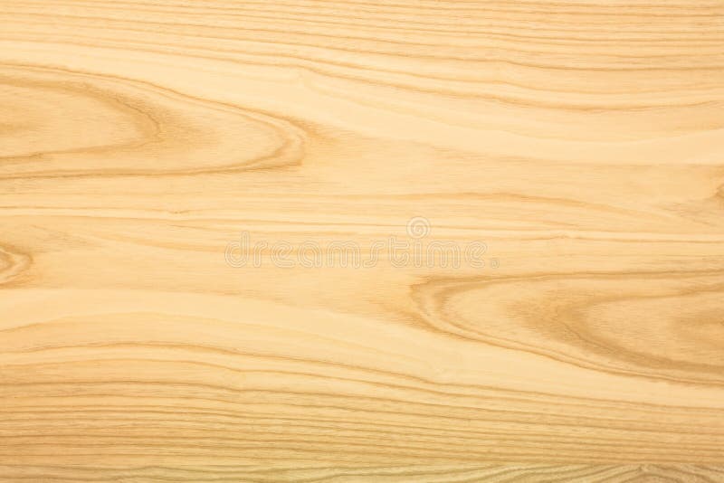 Ash Wood Texture. the Background of the Wood of Hardwood_ Stock Photo ...