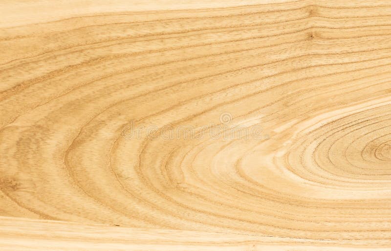 Ash Wood Texture. the Background of the Wood of Hardwood_ Stock Photo