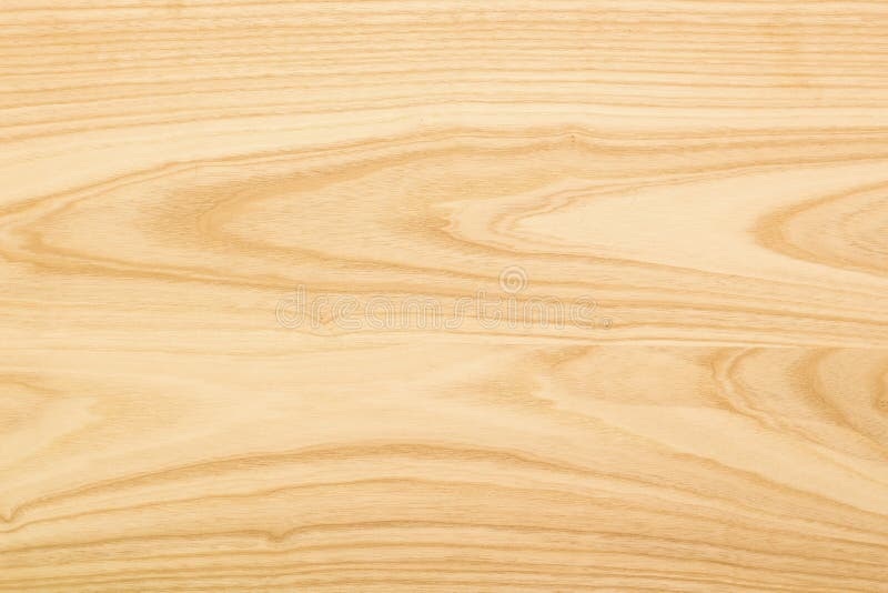 Ash Wood Texture. the Background of the Wood of Hardwood_ Stock Image ...