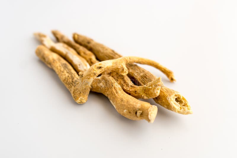 Ashwagandha Indische Ginseng stock afbeelding Ashwagandha Indische Ginseng stock afbeelding