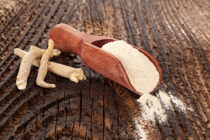 Ashwagandha Superfood bot royaltyfri foto Ashwagandha Superfood bot royaltyfri foto