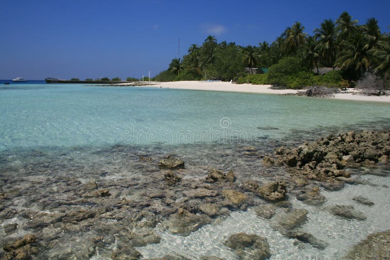 Asia,Maldive, coral reef at Asdu