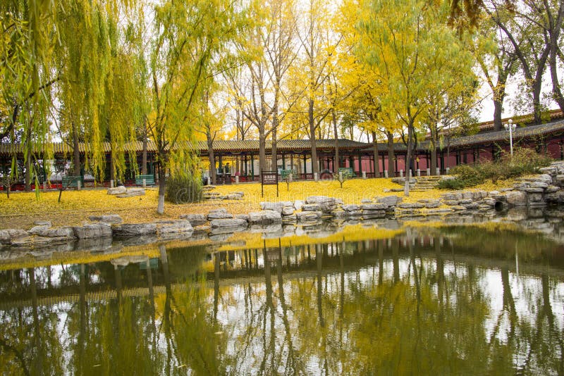 Asia parque de China, Pekín, Zhongshan, paisaje del otoño foto de archivo libre de regalías Asia parque de China, Pekín, Zhongshan, paisaje del otoño foto de archivo libre de regalías