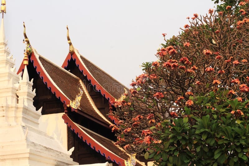 Asia Temple roof