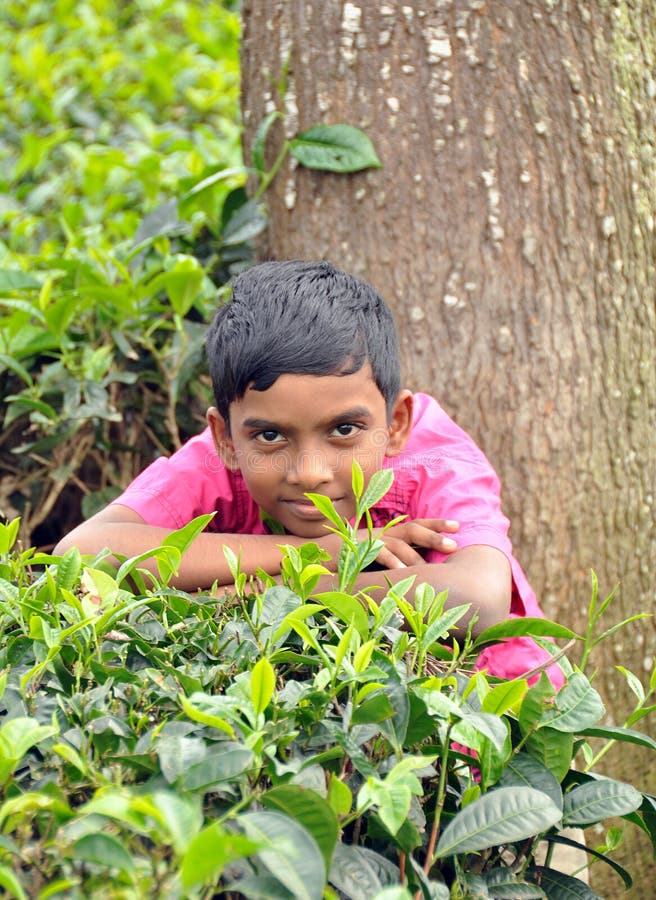 Asian boy stock images