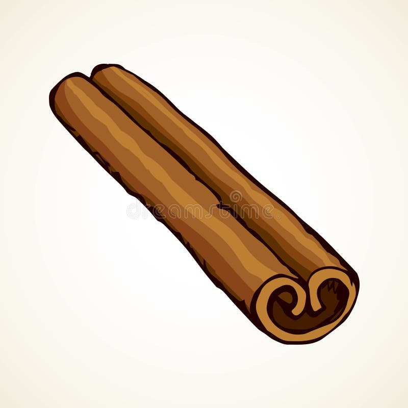 Cinnamon. Vector drawing stock vector. Illustration of drawing 99664027