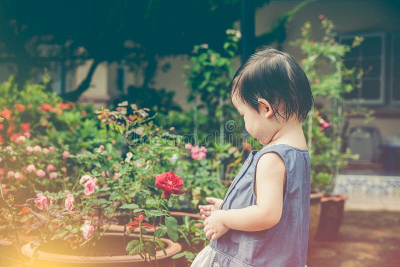 Adorable Little Girl Admiring Beautiful Flowers Stock Photos - Free ...