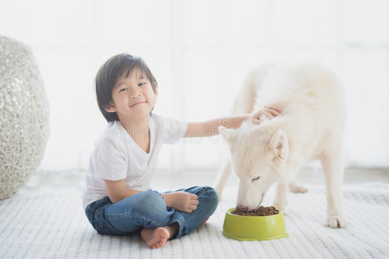 Asian child feeding siberian husky dog
