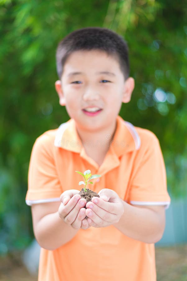 Asian Child Holding Young Seedling Plant in Hands, in Garden, on Stock