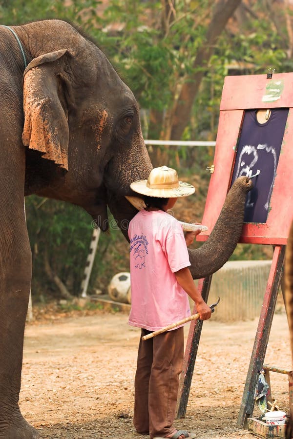 Asian elephant painting stock photo. Image of camp, ride 2373718