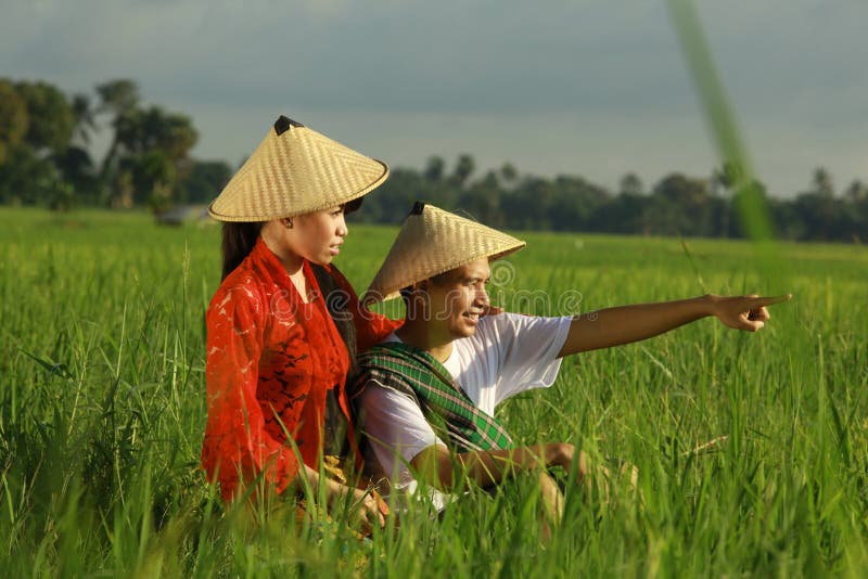 Asian farmer at rice field