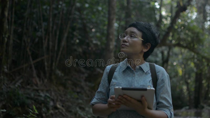 Asian female nature conservationist looking around while working in the rainforest with digital tablet in early morning.