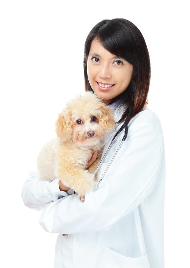 Asian female veterinarian stock photo. Image of young 34362392
