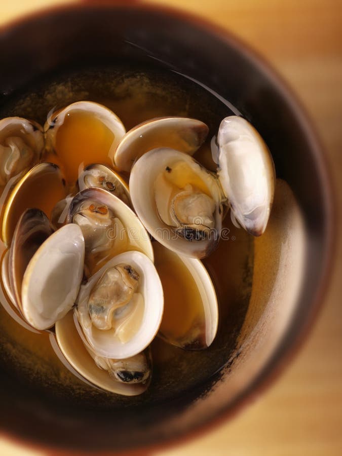 Asian fresh clams broth stock photo. Image of delicious 12059562