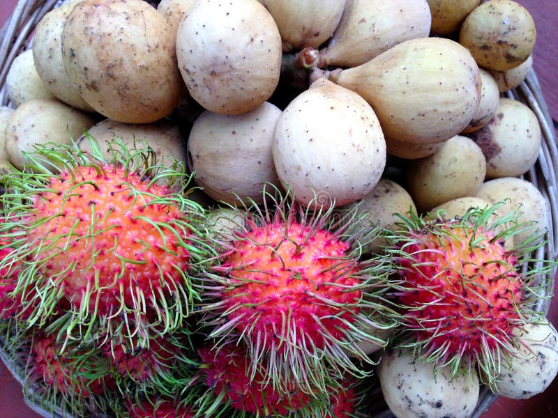 Asian fruit rambutan stock photo. Image of tropical, asian 96124504