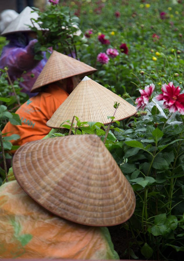 Hanoi, Vietnam - Jan 16, 2016: Asian gardeners with traditional conical hat taking care of a botany garden on the bank of Hoan Kiem (Sword) lake in the center of Hanoi capital city on a rainy day.