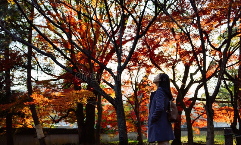 Asian girl walking in Japanese maple garden, Kyoto, Japan